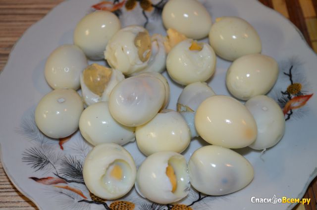 Яйца перепелиные столовые "ЭКО-Птицефабрика"