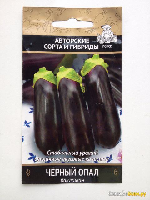 Семена баклажана "Чёрный опал" Авторские сорта и гибриды "Поиск"
