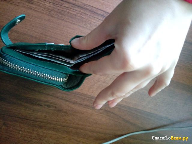 Женский кошелек модель Hcandice Long Purse Wallet VOB2016022
