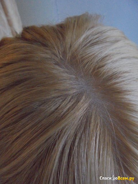 Стойкая крем-краска Schwarzkopf Palette "Интенсивный цвет" С10 Серебристый блондин