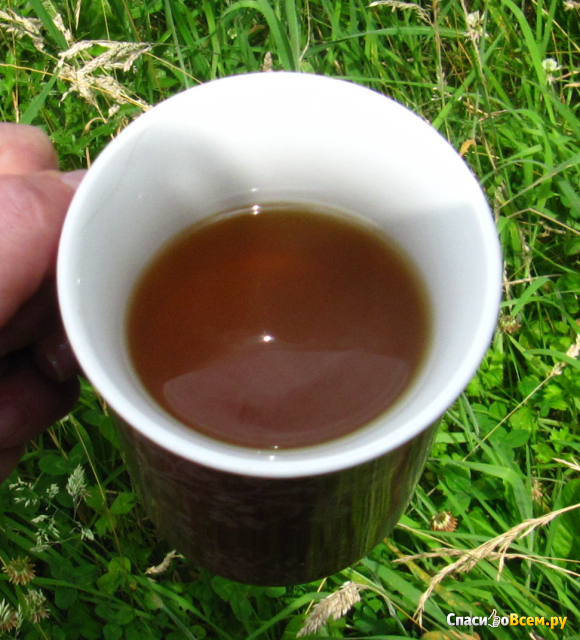 Зелёный чай Lipton "Интенсивная мята"