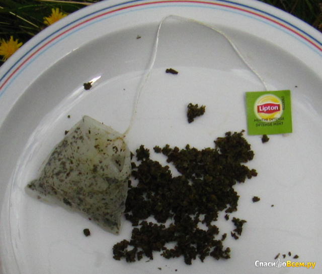 Зелёный чай Lipton "Интенсивная мята"