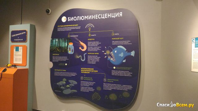 Музей человека "Живые системы" (Россия,Москва)