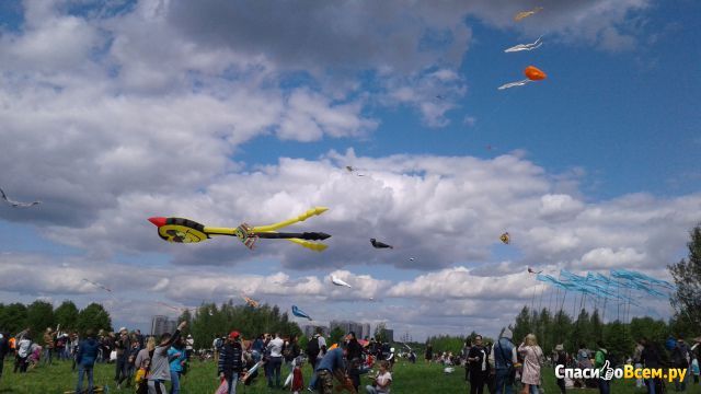 Фестиваль воздушных змеев "Пестрое Небо" (Москва, Музей-усадьба "Царицыно")