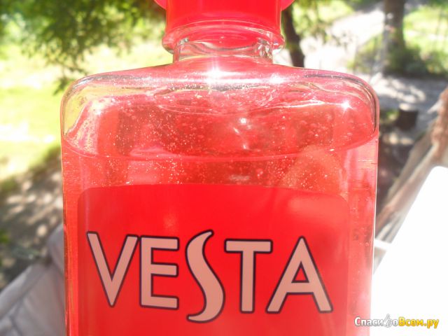 Шампунь Vesta "Земляника" с бальзамом и кондиционером для нормальных и склонных к сухости волос
