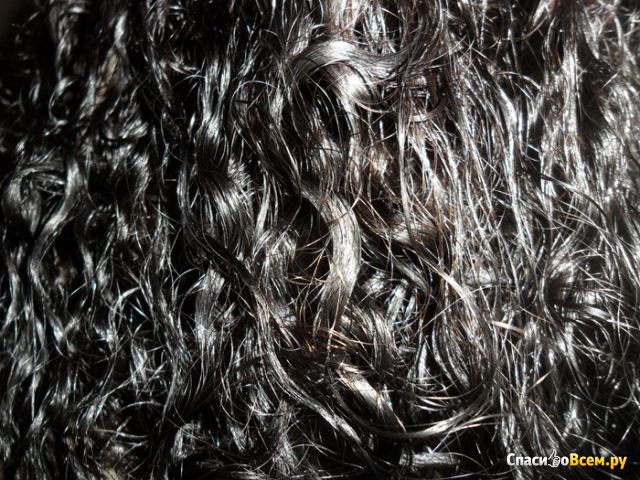 Краска для волос Schwarzkopf Palette Фитолиния №800 Темно-каштановый