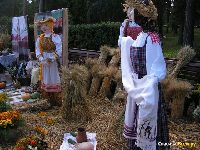 XVI Городская выставка цветов и плодов (Челябинск)