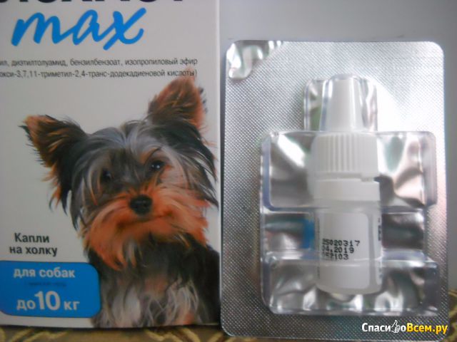 Инсектоакарицидный препарат "БлохНэт" max против клещей и блох для собак с массой тела до 10 кг