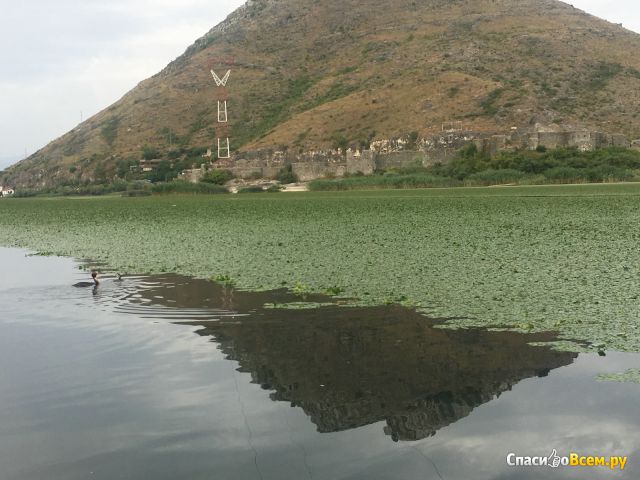 Скадарское озеро (Черногория)