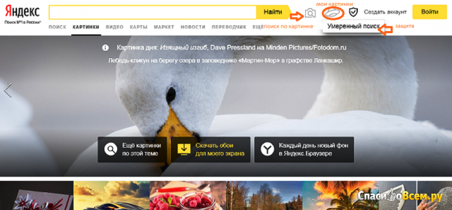 Сервис Яндекс.Картинки images.yandex.ru