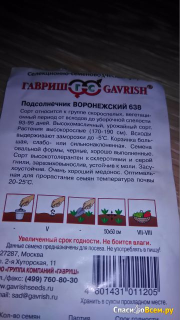 Семена подсолнечника "Воронежский 638" Гавриш