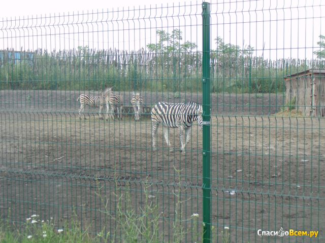 Старооскольский зоопарк (Россия, Старый Оскол)