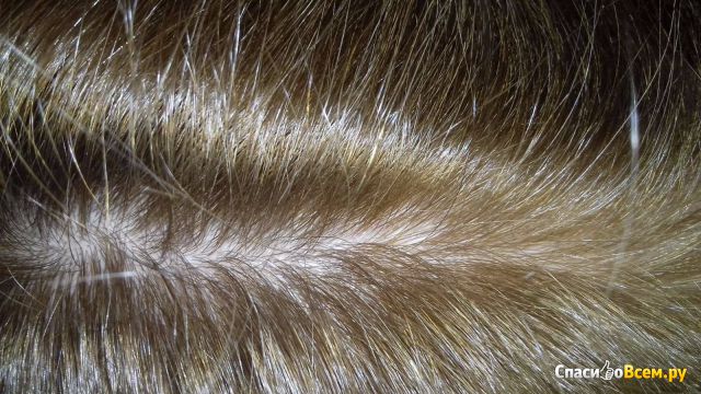 Стойкая краска для волос Syoss Oleo Intense 7-10 "Натуральный светло-русый"