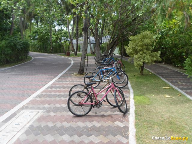 Отель Sun Island Resort & Spa 5* (Мальдивы, Ари Атолл)