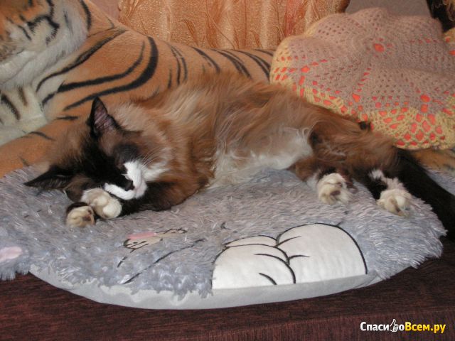 Лежанка с дизайном "GiGwi" Snoozy friendz "Кот" для кошек и собак 57 см арт. 75118