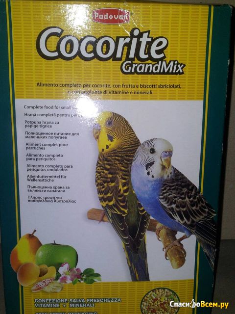 Полноценное питание для маленьких попугаев Cocorite GrandMix Padovan