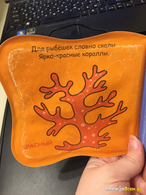 Книжка для купания "Рыбка. Купашки. Цвет", Школа семи гномов, Анна Степанова