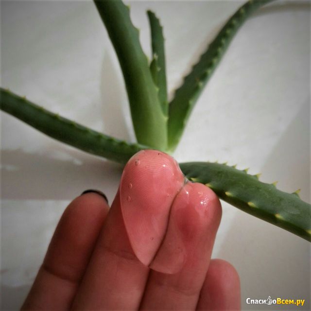 Универсальный гель Holika Holika Aloe 99% Soothing Gel