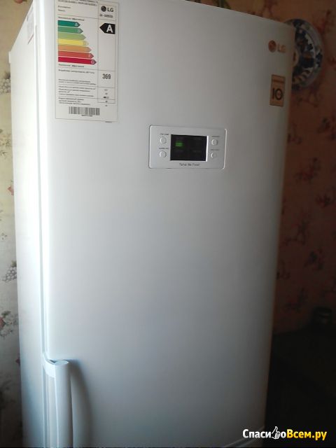 Двухкамерный холодильник LG GA E 409UQA