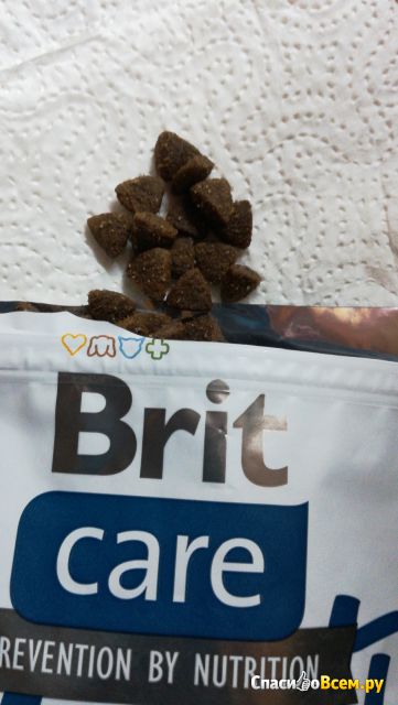 Сухой корм для кошек Brit Care Monty