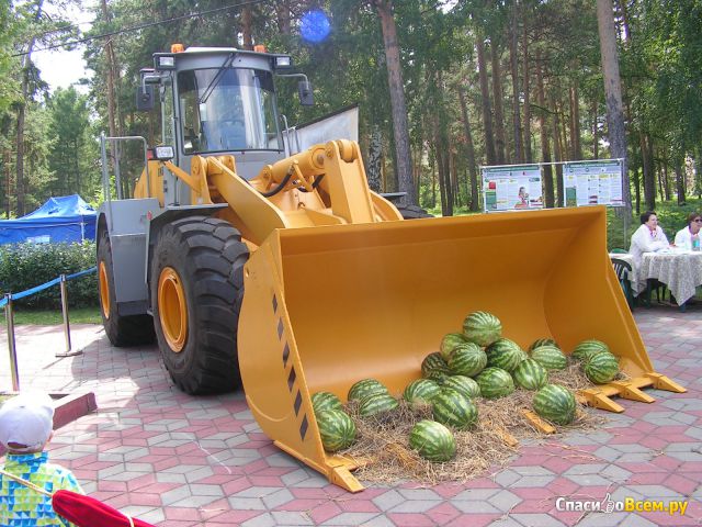 XVII Городская выставка цветов и плодов (Челябинск)