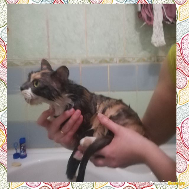 Шампунь-пенка для кошек Levrana