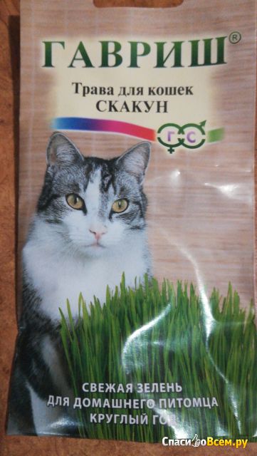 Древесный наполнитель "Чистые лапки" для кошек