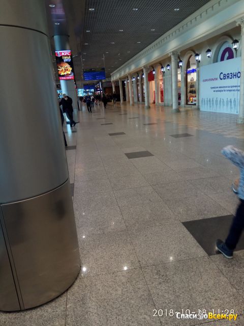 Аэропорт Домодедово (Москва)