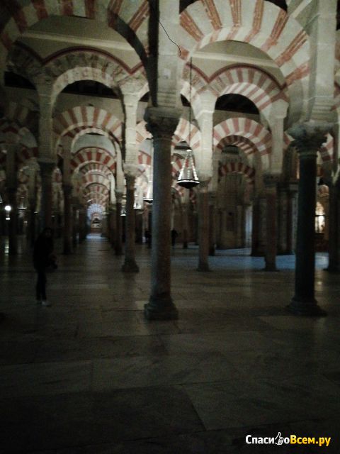 Музей-мечеть Мескита (Кордова, Испания)