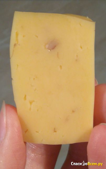 Сыр с грецкими орехами Бобровский