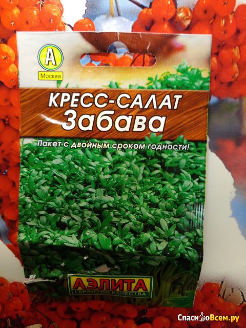 Семена кресс-салата Аэлита "Забава"