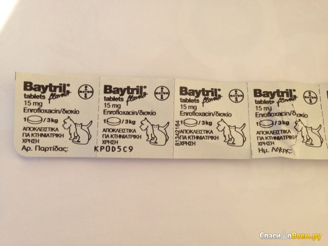Противовирусное средство Baytril для кошек и собак