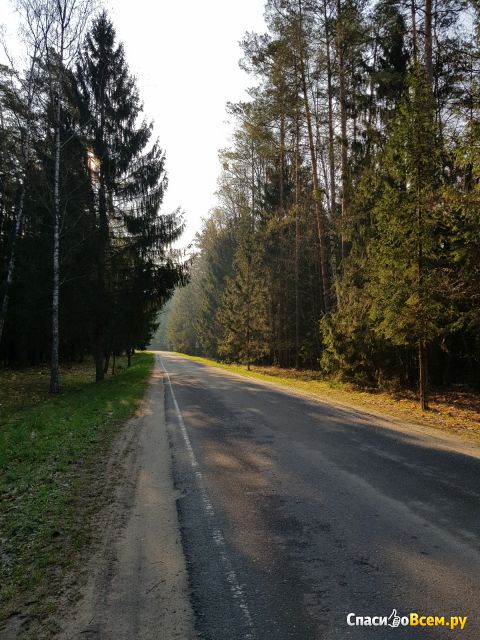Велосипедно-туристический маршрут "Царская поляна" в Беловежской пуще (Беларусь)