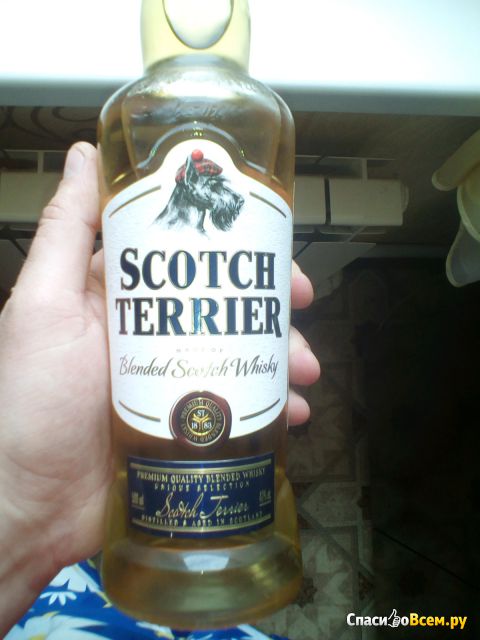 Виски Scotch Terrier