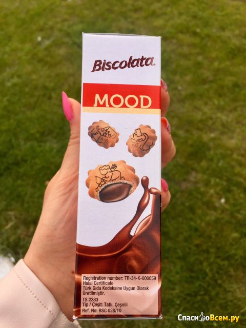 Печенье с шоколадной начинкой Biscolata mood