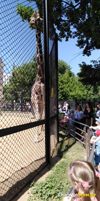 Московский зоопарк на Краснопресненской (Москва, ул. Красная Пресня, 4а)