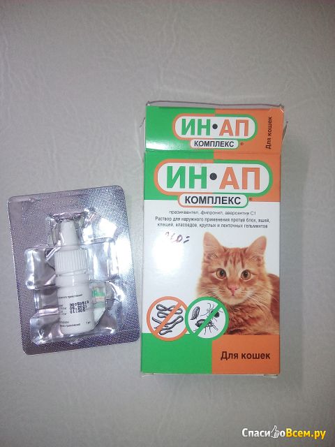 Раствор для наружного применения ИН-АП для кошек