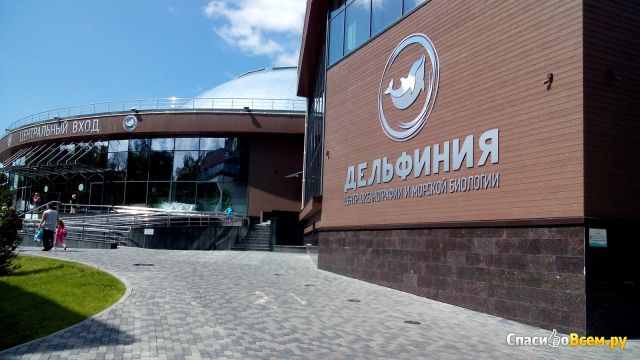 Центр океанографии и морской биологии Дельфиния (Новосибирск)