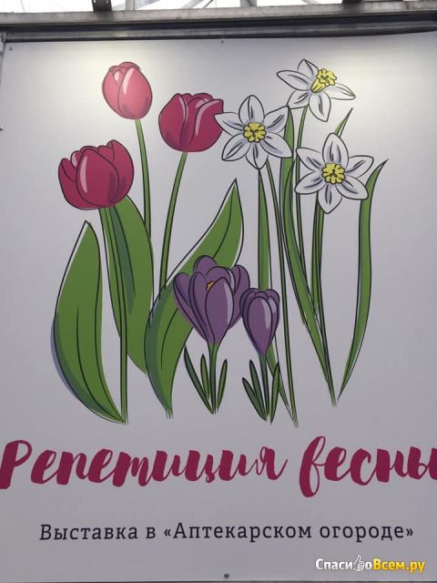 Выставка "Репетиция весны" (Москва, Ботанический сад)