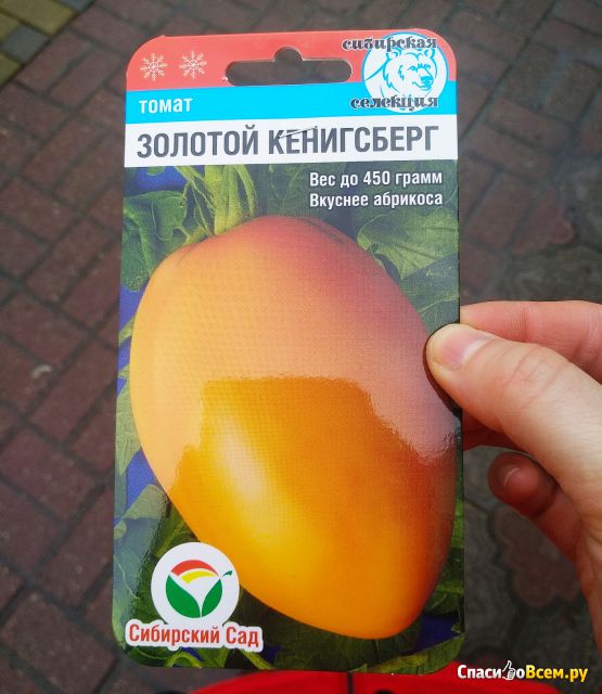 Семена томат "Золотой Кенигсберг" Сибирский сад