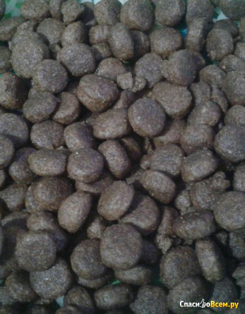 Сухой корм для собак малых пород Karmy  с ягненком гипоаллергенный