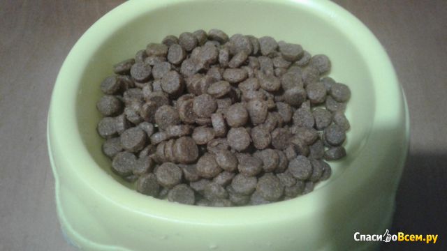 Сухой корм для стерилизованных кошек Karmy с индейкой
