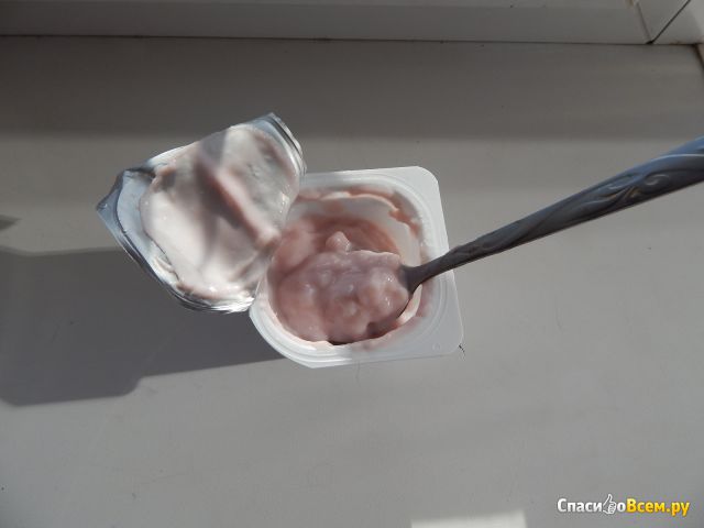 Йогурт Campina Нежный с соком лесных ягод 1,2%