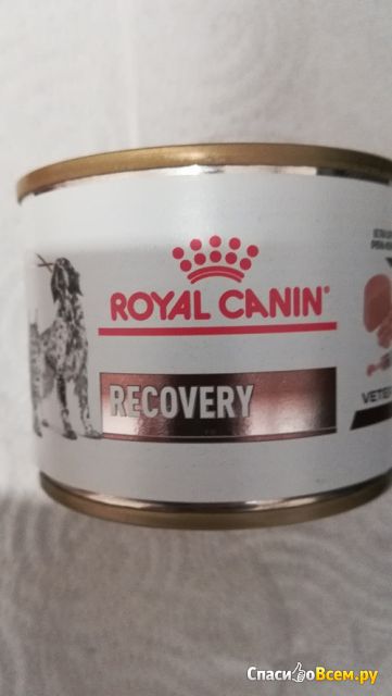 Влажный корм для ослабленных кошек и собак Royal Canin Recovery