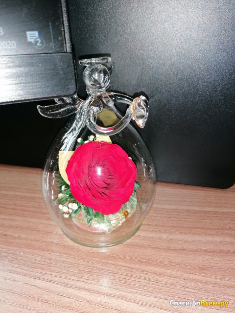 Сувенир роза в колбе