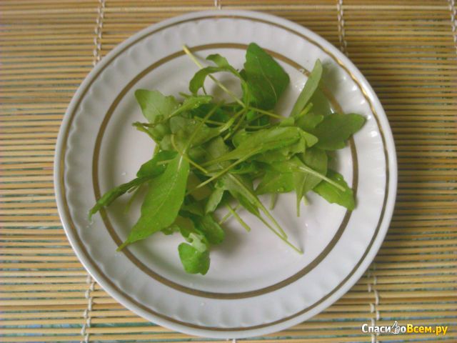 Салат руккола