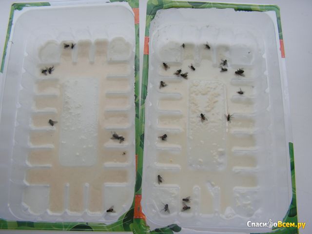 Средство инсектицидное от мух Злобный TED концентрат водорастворимых гранул