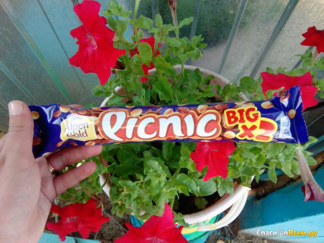 Шоколадный батончик Big Picnic