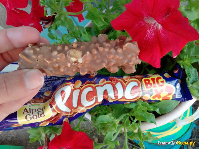 Шоколадный батончик Big Picnic