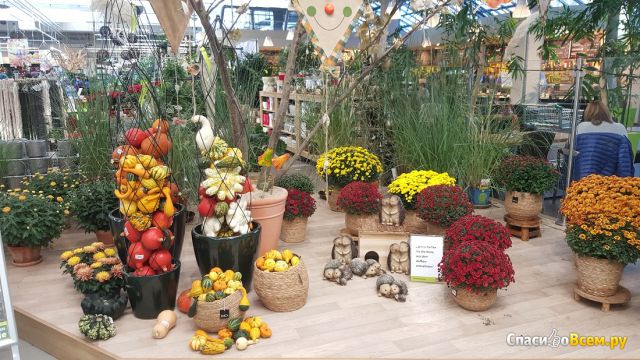 Магазин-садовый центр Pflanzen-Kölle (Германия, Нюрнберг)